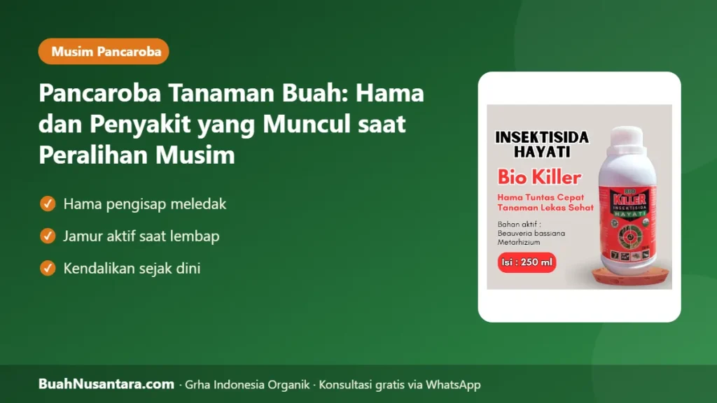 Pancaroba tanaman buah