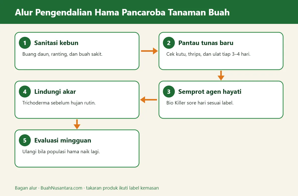 Bagan alur pancaroba tanaman buah