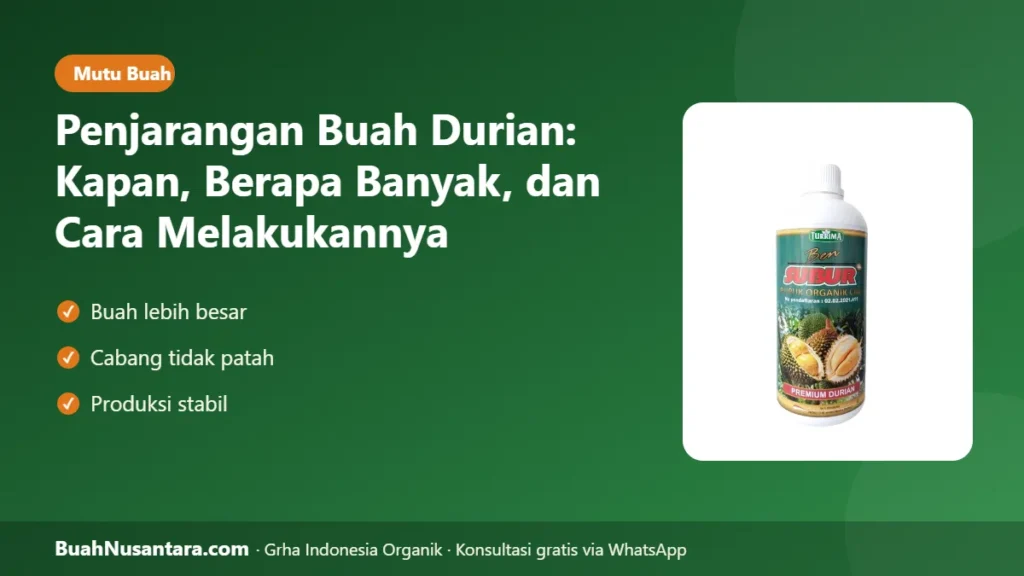 Penjarangan buah durian