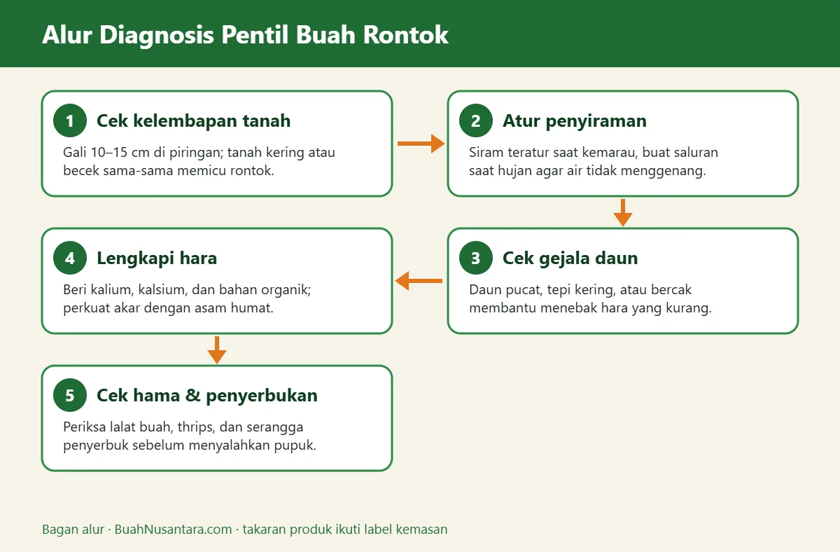 Bagan alur pentil buah rontok