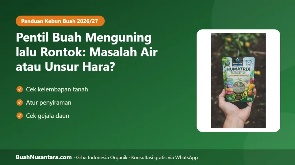 Pentil buah rontok