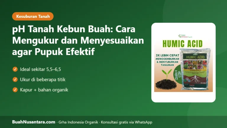 PUPUK Tak Terserap? Cek pH Tanah Kebun Buah: Cara Mengukur dan Menyesuaikannya