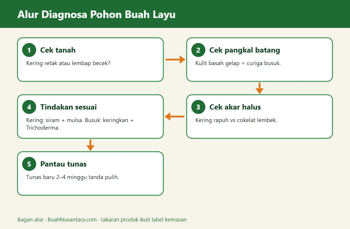 Bagan alur pohon buah layu