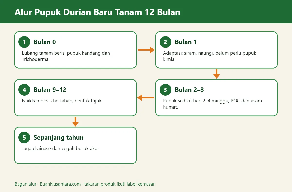 Bagan alur pupuk durian baru tanam