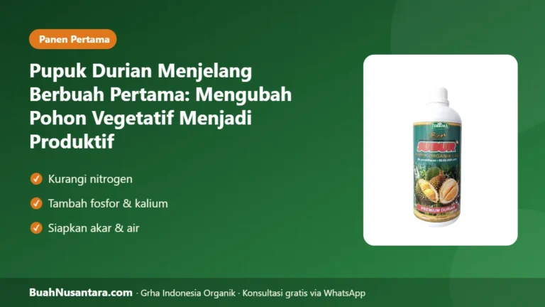 PANEN PERDANA Durian! Pupuk Menjelang Berbuah agar Pohon Berani Berbunga dan Menahan Buah