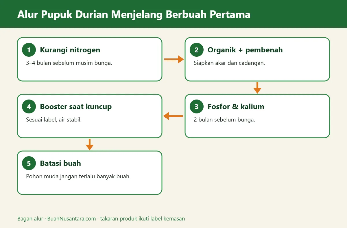 Bagan alur pupuk durian menjelang berbuah
