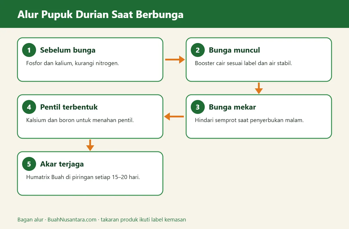 Bagan alur pupuk durian saat berbunga