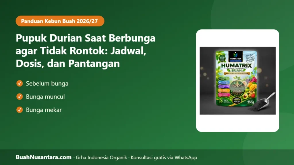 Pupuk durian saat berbunga