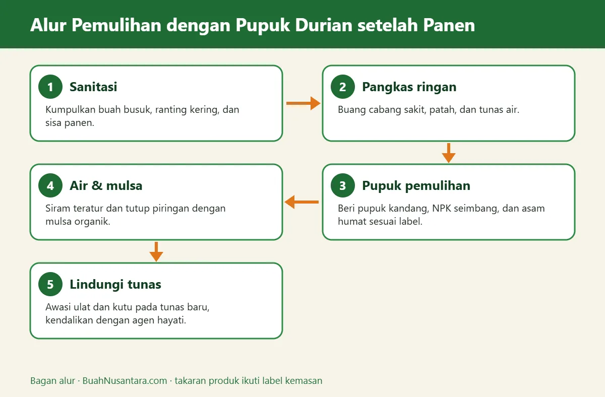 Bagan alur pupuk durian setelah panen
