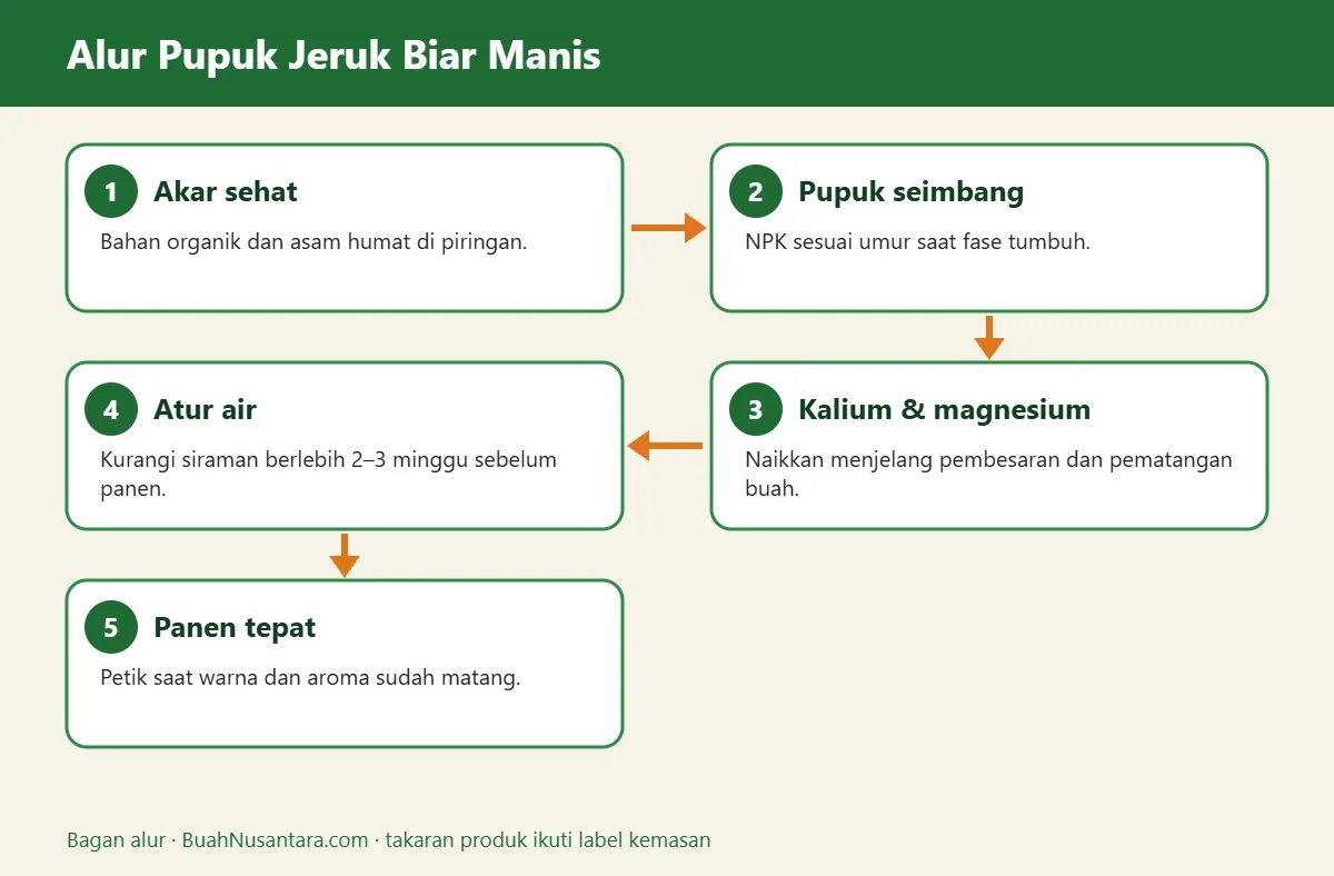 Bagan alur pupuk jeruk biar manis