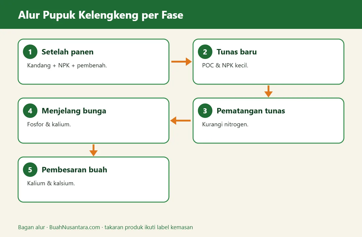 Bagan alur pupuk kelengkeng
