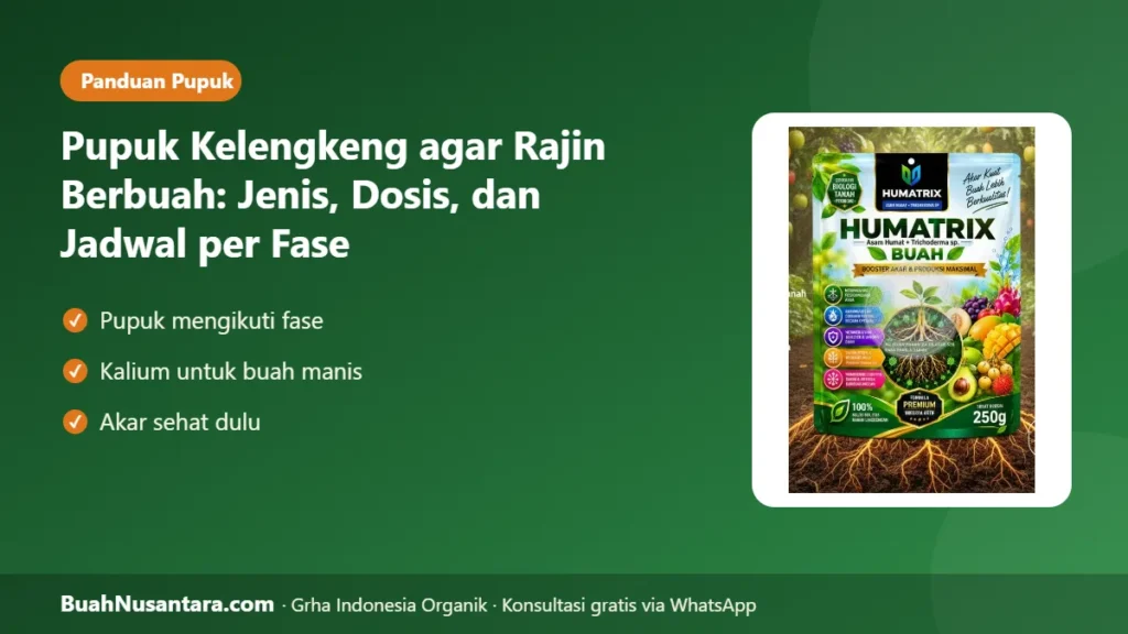 Pupuk kelengkeng
