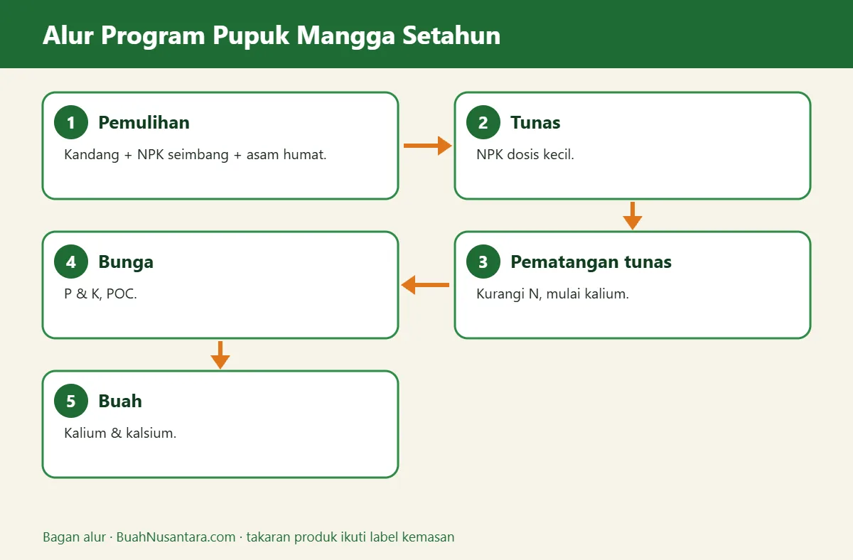 Bagan alur pupuk mangga agar berbuah lebat