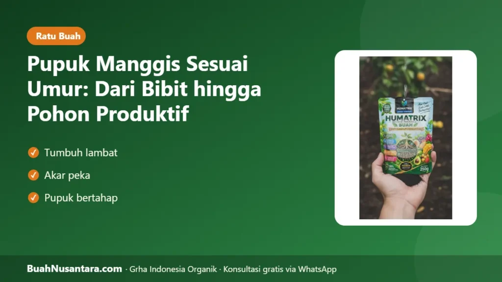 Pupuk manggis