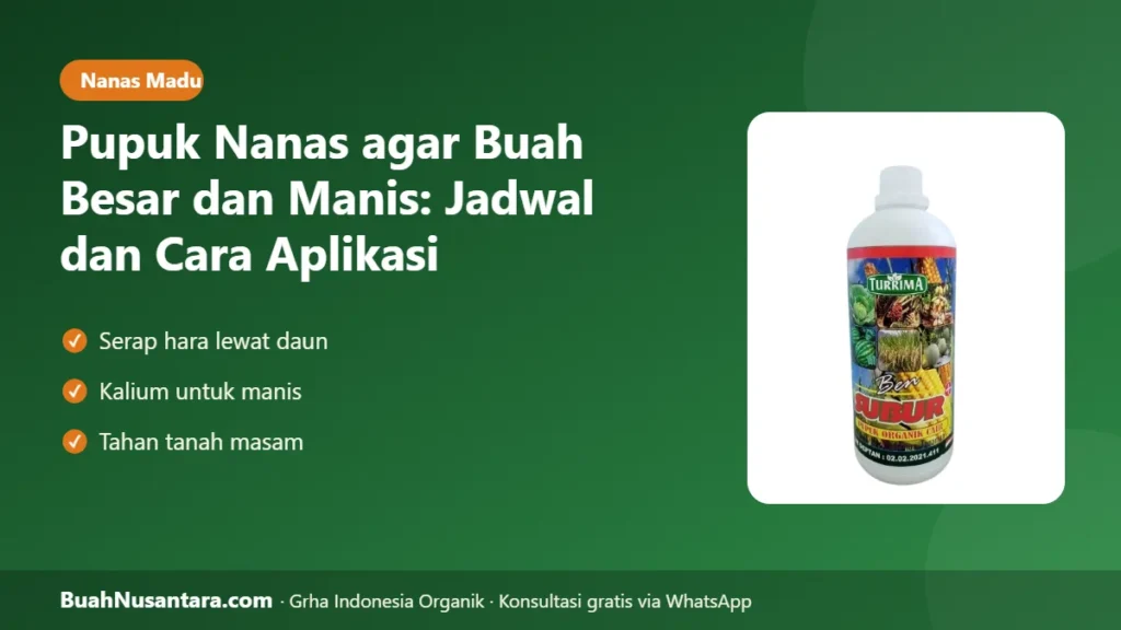 Pupuk nanas