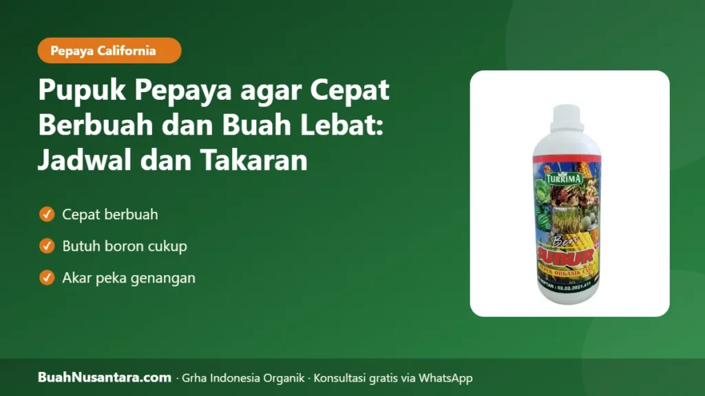 Pupuk pepaya