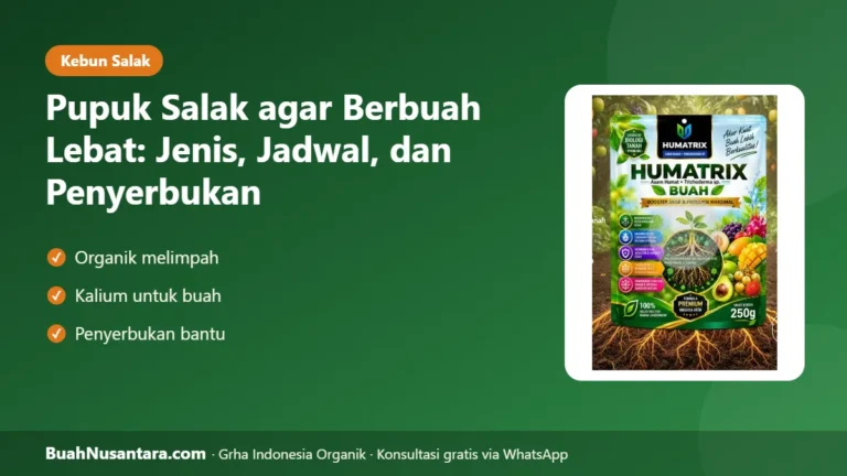 TANDAN Salak Kosong? Pupuk Salak dan Penyerbukan Bantu agar Berbuah Lebat