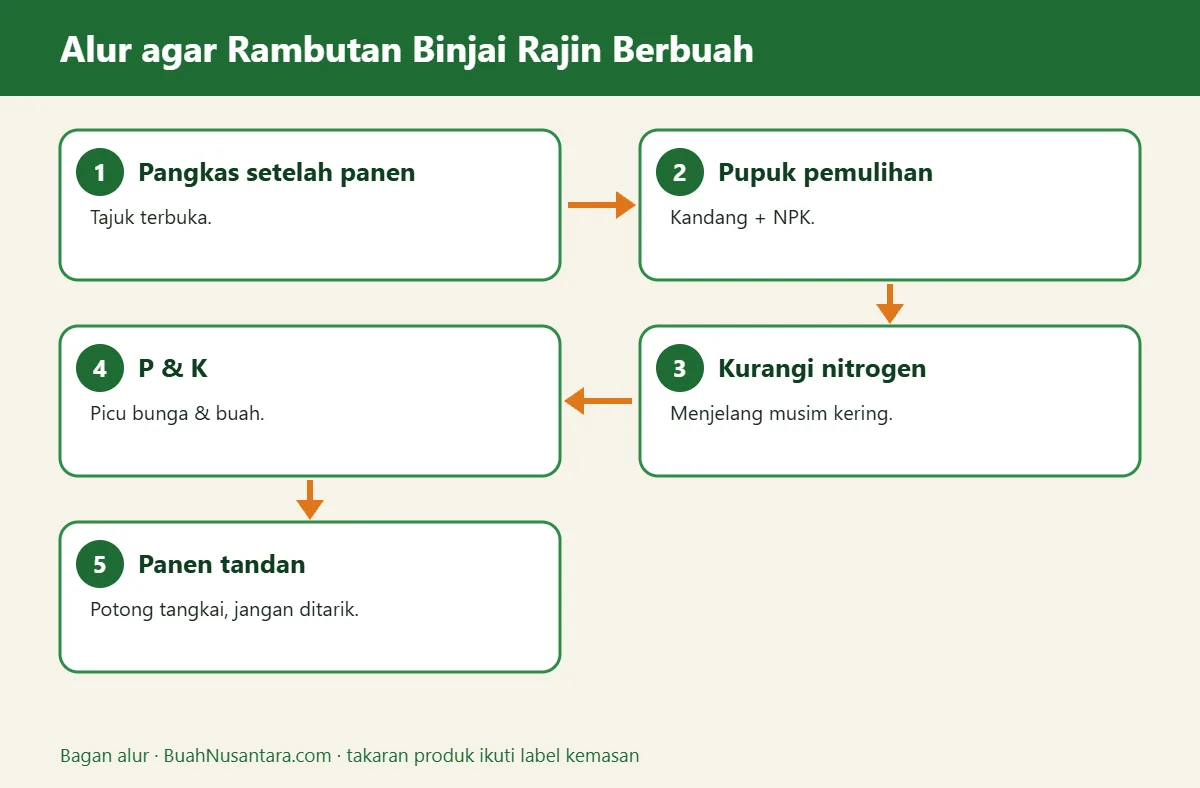 Bagan alur rambutan binjai