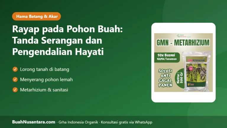POHON Buah Digerogoti Rayap? Tanda Serangan dan Pengendalian Hayati yang Aman