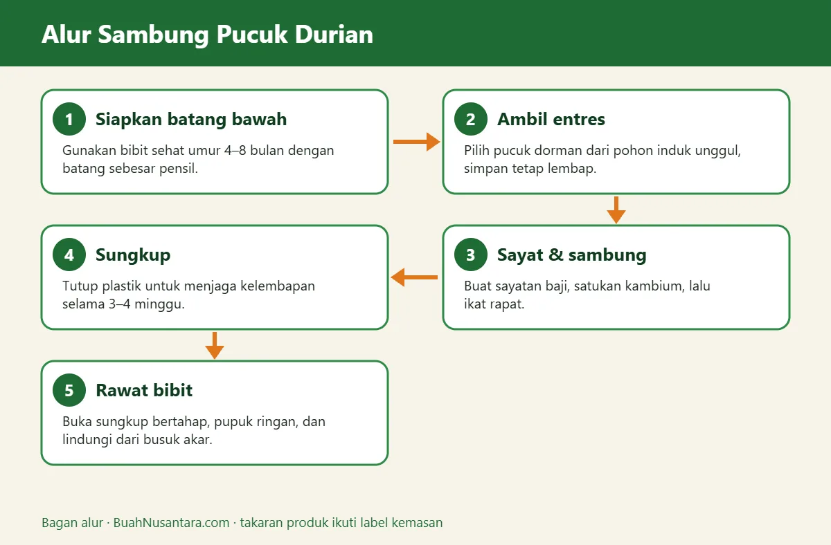 Bagan alur sambung pucuk durian