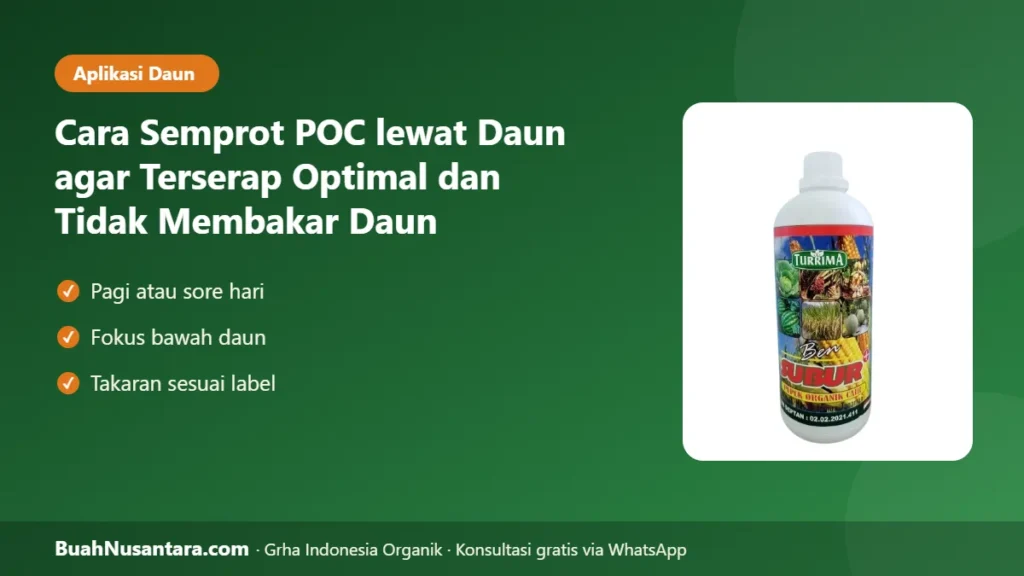 Semprot poc daun