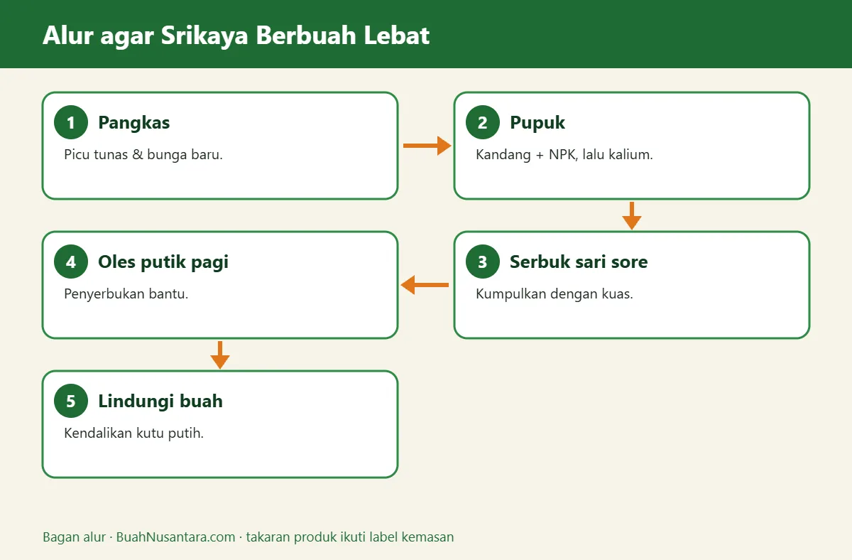 Bagan alur srikaya agar berbuah