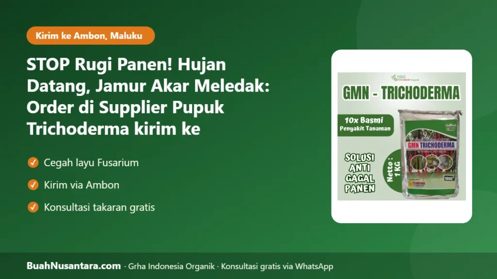 Supplier Pupuk Trichoderma kirim ke Ambon-Maluku