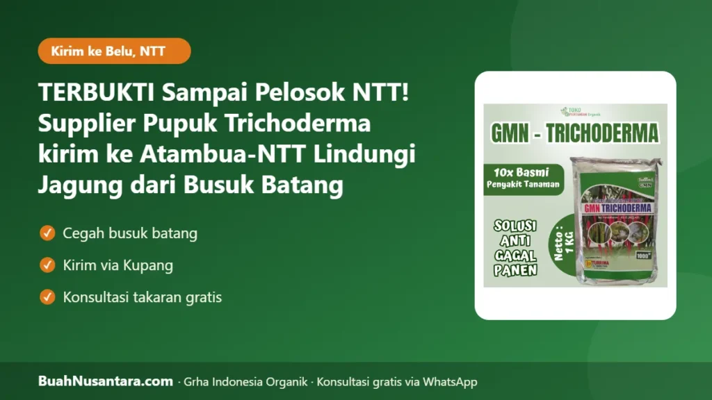 Supplier Pupuk Trichoderma kirim ke Atambua-NTT