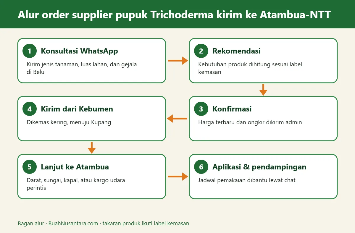 Bagan alur supplier pupuk Trichoderma kirim ke Atambua-NTT