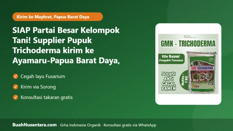 SIAP Partai Besar Kelompok Tani! Supplier Pupuk Trichoderma kirim ke Ayamaru-Papua Barat Daya, Papua Barat Daya: Cegah Busuk Akar Musim Hujan 2026/27