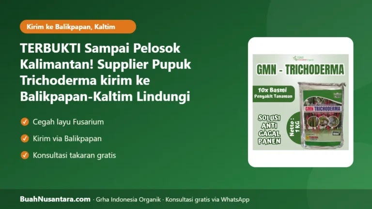 TERBUKTI Sampai Pelosok Kalimantan! Supplier Pupuk Trichoderma kirim ke Balikpapan-Kaltim Lindungi Sayuran dari Layu Fusarium