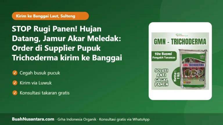 STOP Rugi Panen! Hujan Datang, Jamur Akar Meledak: Order di Supplier Pupuk Trichoderma kirim ke Banggai Laut-Sulteng