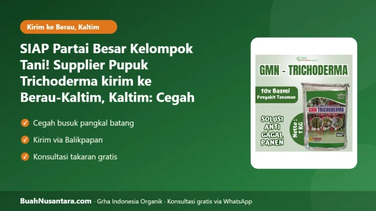SIAP Partai Besar Kelompok Tani! Supplier Pupuk Trichoderma kirim ke Berau-Kaltim, Kaltim: Cegah Busuk Akar Musim Hujan 2026/27