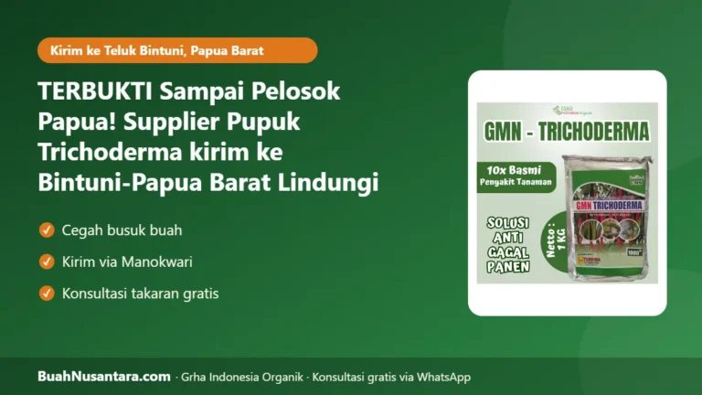 TERBUKTI Sampai Pelosok Papua! Supplier Pupuk Trichoderma kirim ke Bintuni-Papua Barat Lindungi Kakao dari Busuk Buah