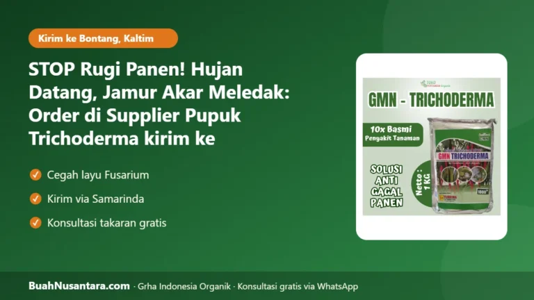 STOP Rugi Panen! Hujan Datang, Jamur Akar Meledak: Order di Supplier Pupuk Trichoderma kirim ke Bontang-Kaltim