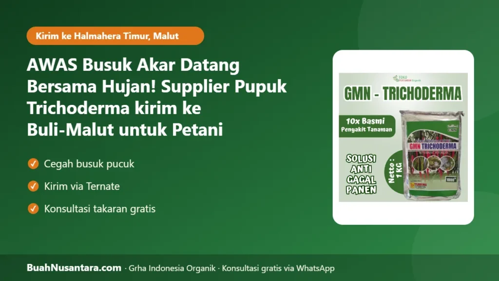Supplier Pupuk Trichoderma kirim ke Buli-Malut