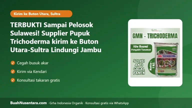 TERBUKTI Sampai Pelosok Sulawesi! Supplier Pupuk Trichoderma kirim ke Buton Utara-Sultra Lindungi Jambu Mete dari Busuk Akar