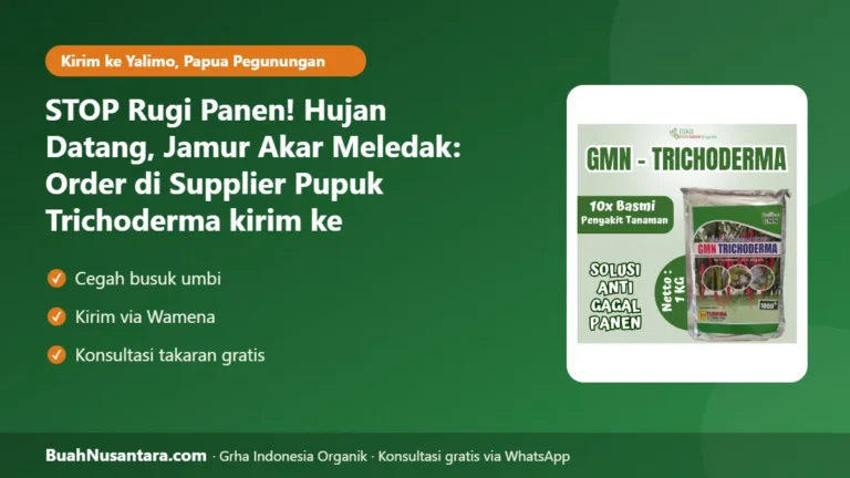 STOP Rugi Panen! Hujan Datang, Jamur Akar Meledak: Order di Supplier Pupuk Trichoderma kirim ke Elelim-Papua Pegunungan