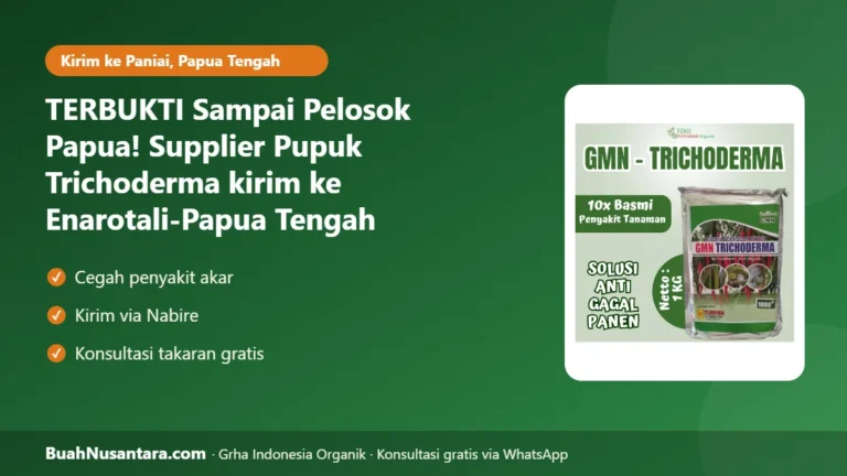 TERBUKTI Sampai Pelosok Papua! Supplier Pupuk Trichoderma kirim ke Enarotali-Papua Tengah Lindungi Kopi dari Penyakit Akar