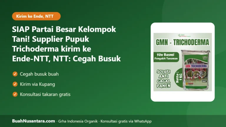 SIAP Partai Besar Kelompok Tani! Supplier Pupuk Trichoderma kirim ke Ende-NTT, NTT: Cegah Busuk Akar Musim Hujan 2026/27