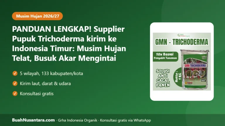 PANDUAN LENGKAP! Supplier Pupuk Trichoderma kirim ke Indonesia Timur: Musim Hujan Telat, Busuk Akar Mengintai di 133 Kabupaten/Kota