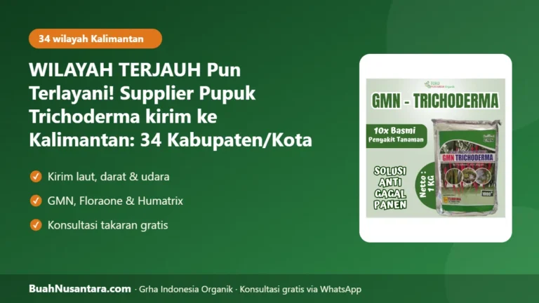 WILAYAH TERJAUH Pun Terlayani! Supplier Pupuk Trichoderma kirim ke Kalimantan: 34 Kabupaten/Kota Berbandara Siap Kirim
