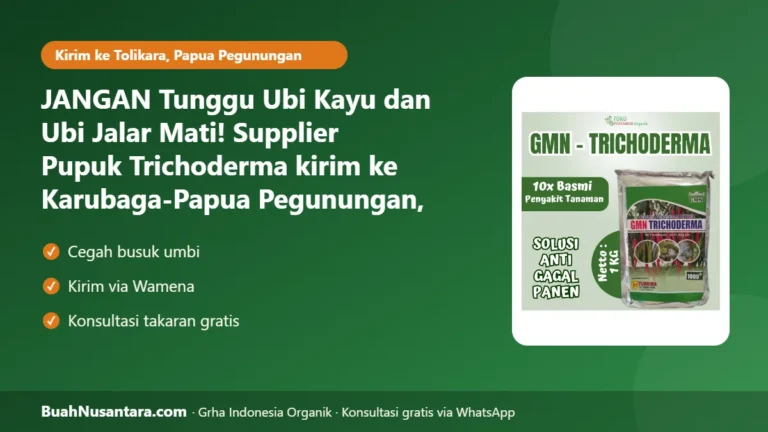 JANGAN Tunggu Ubi Kayu dan Ubi Jalar Mati! Supplier Pupuk Trichoderma kirim ke Karubaga-Papua Pegunungan, Kirim via Wamena Sebelum Hujan Rutin