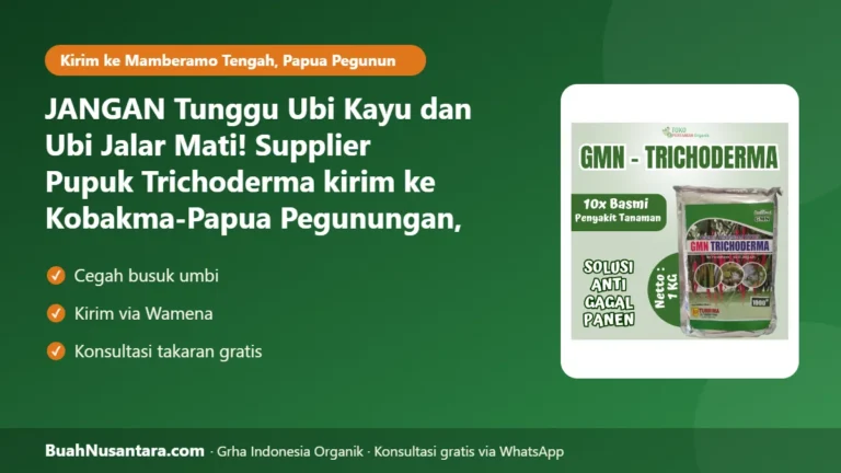 JANGAN Tunggu Ubi Kayu dan Ubi Jalar Mati! Supplier Pupuk Trichoderma kirim ke Kobakma-Papua Pegunungan, Kirim via Wamena Sebelum Hujan Rutin