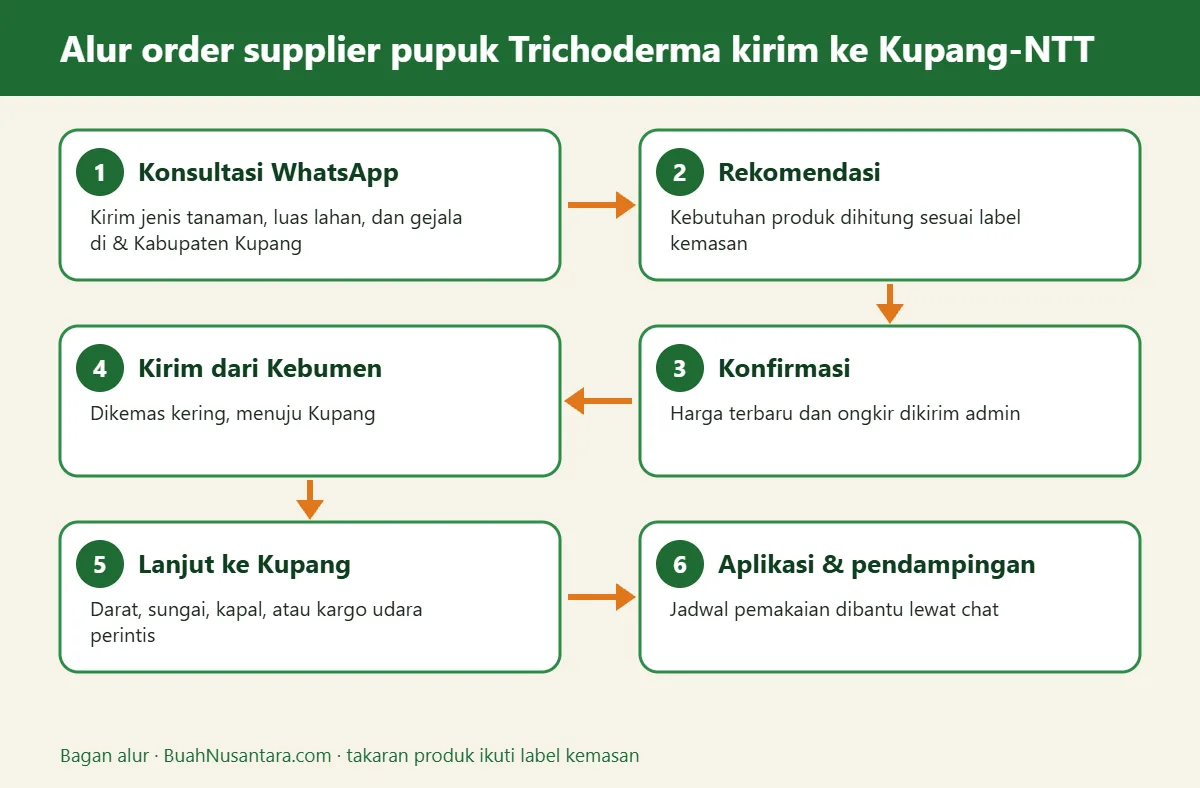 Bagan alur supplier pupuk Trichoderma kirim ke Kupang-NTT
