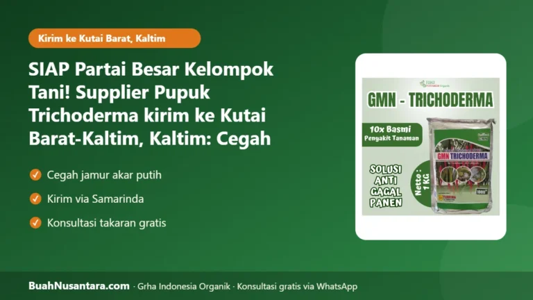 SIAP Partai Besar Kelompok Tani! Supplier Pupuk Trichoderma kirim ke Kutai Barat-Kaltim, Kaltim: Cegah Busuk Akar Musim Hujan 2026/27