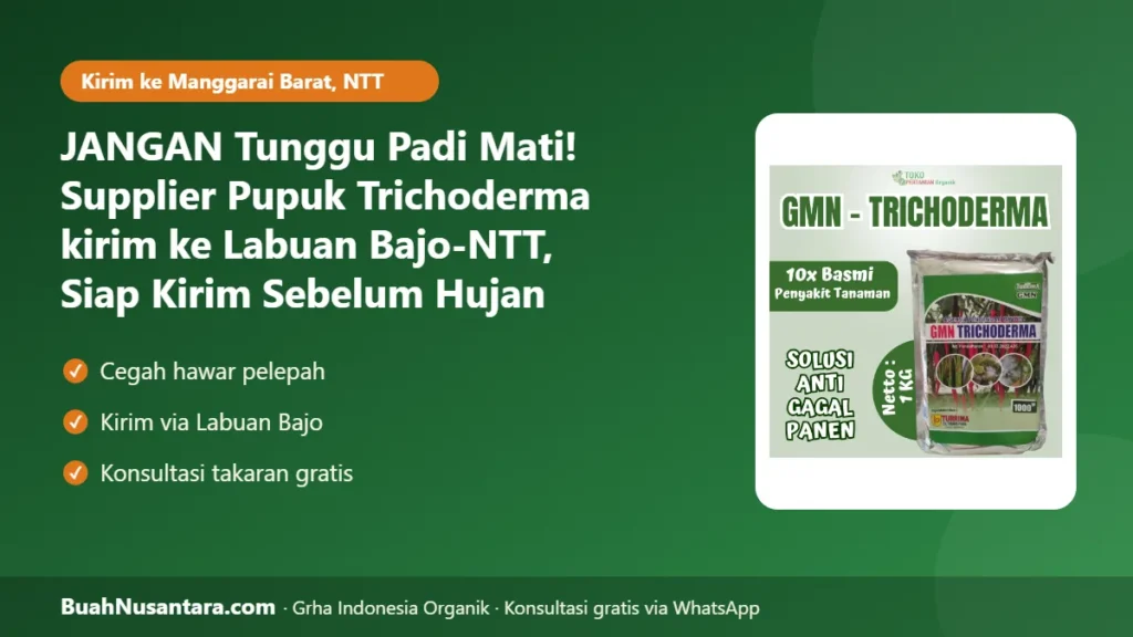 Supplier Pupuk Trichoderma kirim ke Labuan Bajo-NTT