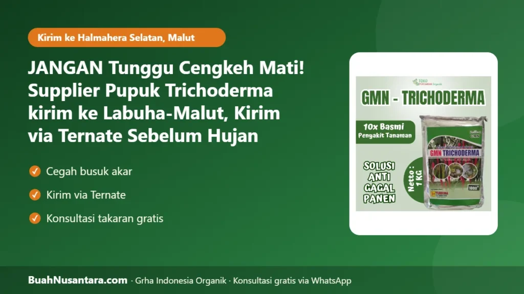 Supplier Pupuk Trichoderma kirim ke Labuha-Malut