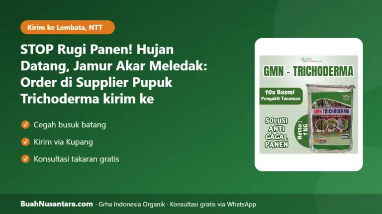 STOP Rugi Panen! Hujan Datang, Jamur Akar Meledak: Order di Supplier Pupuk Trichoderma kirim ke Lewoleba-NTT