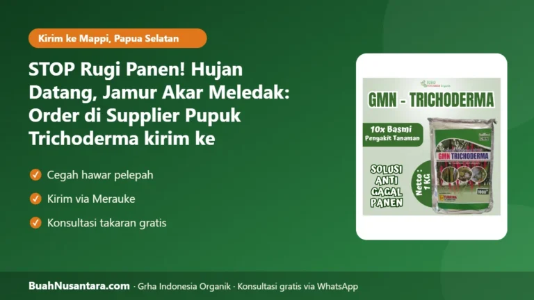 STOP Rugi Panen! Hujan Datang, Jamur Akar Meledak: Order di Supplier Pupuk Trichoderma kirim ke Mappi-Papua Selatan